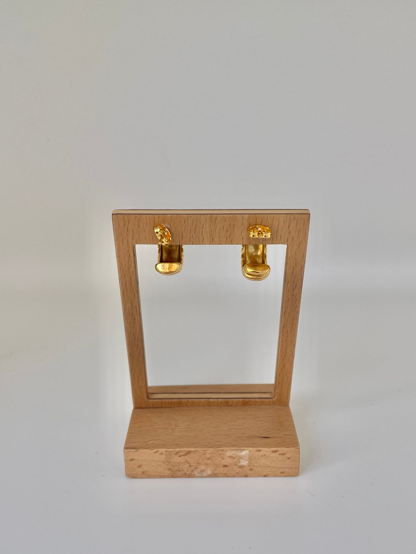 Pendientes Caracol