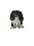Pinza perro buggy