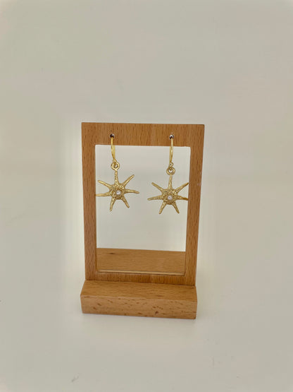 Pendientes Estrella de Mar