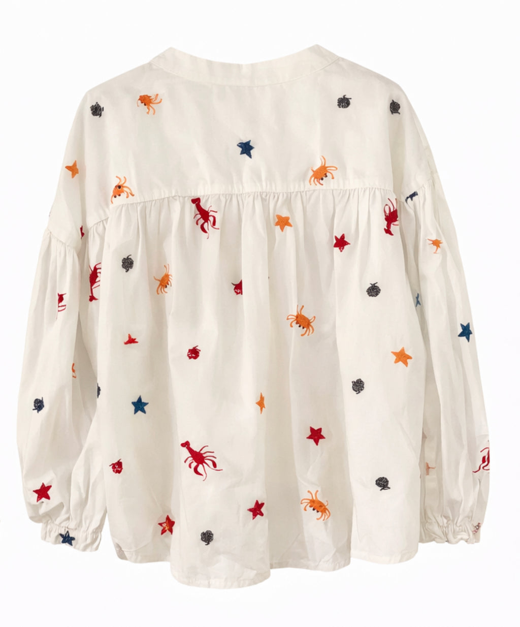 Camisa bordados